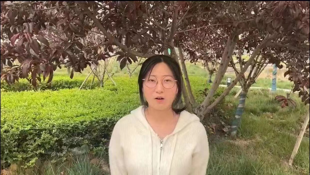 图示, 示意图

中度可信度描述已自动生成:ver1